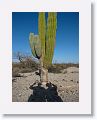 Day2-PM-LasAnimas - 05 * Our shadow photo tradition dates back to 1989. * Our shadow photo tradition dates back to 1989.